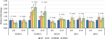 Effect of Probiotics and Multi-Component Feed Additives on Microbiota, Gut Barrier and Immune Responses in Broiler Chickens During Subclinical Necrotic Enteritis